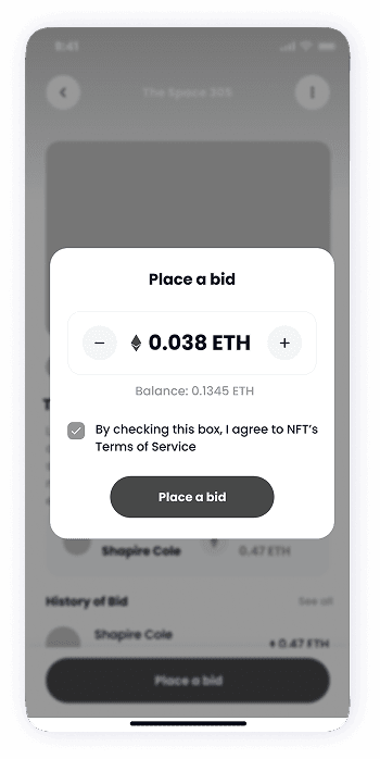 NFT Store bid screen wireframe
