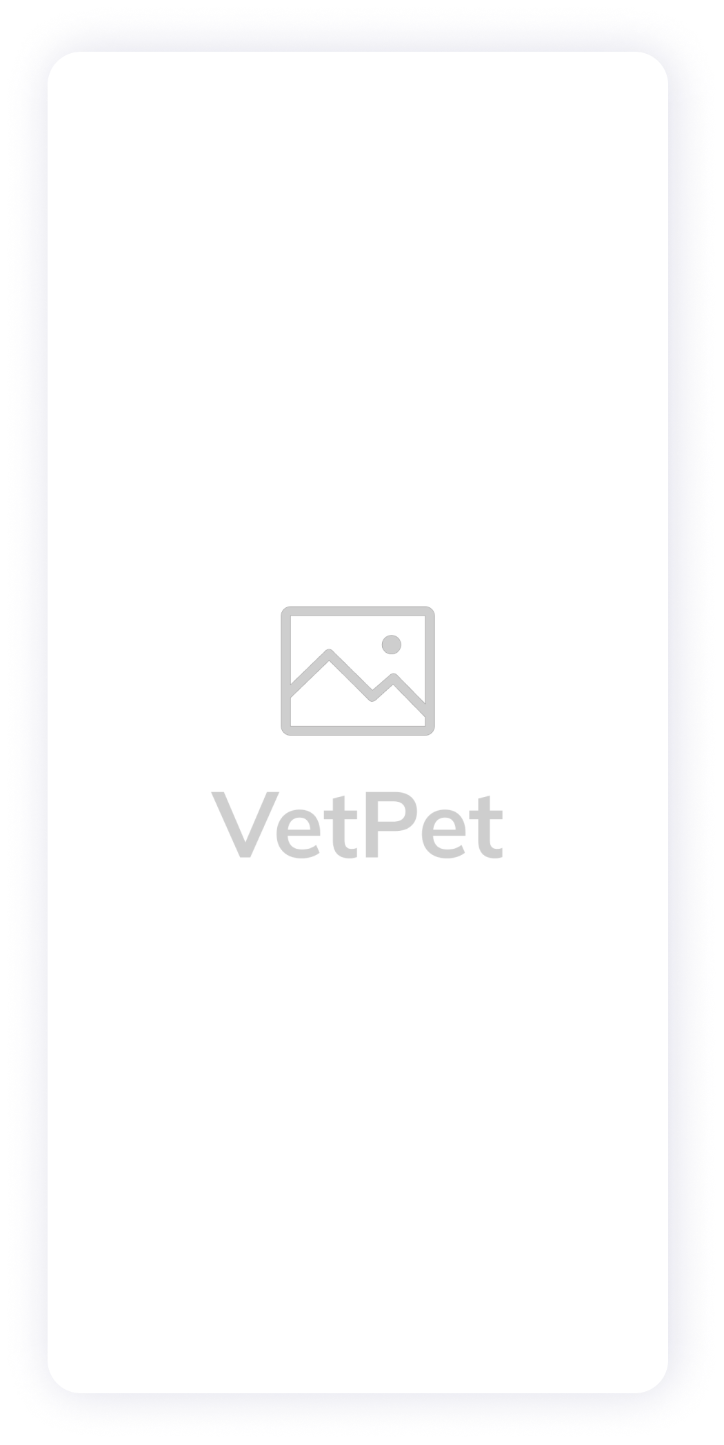 VetPet app main screen wireframe 