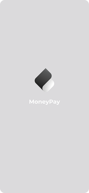 Wireframe of MoneyPay app splash screen