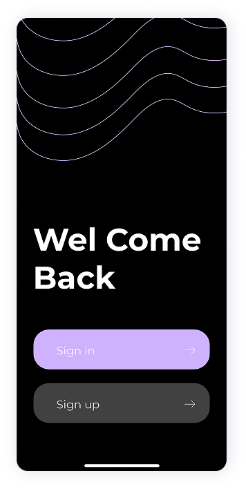 UI design of MoneyPay welcome back screen