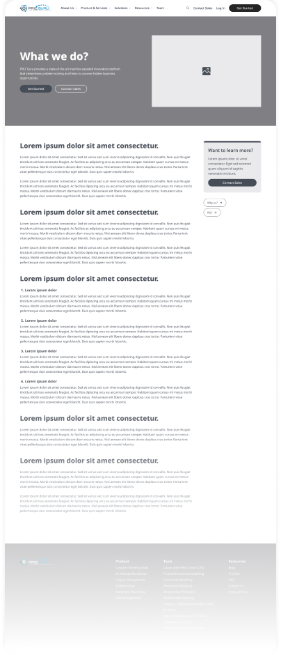 Wireframe of the PrizGuru what we do page