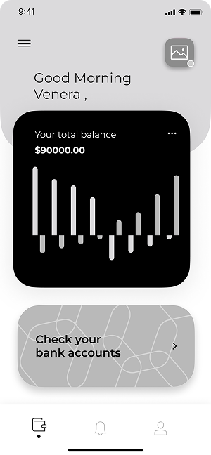 Wireframe of MoneyPay app home screen